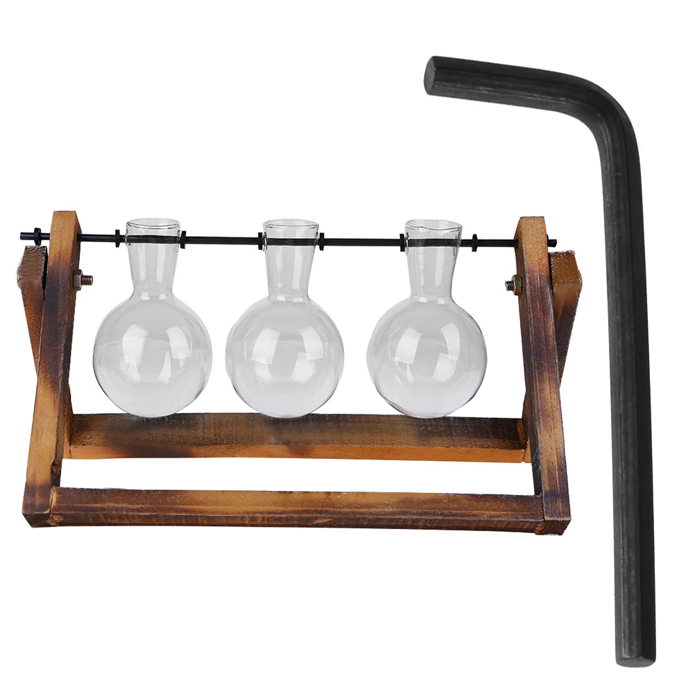 NxtDecor - Glass and Wood Vase Planter Table Desktop
