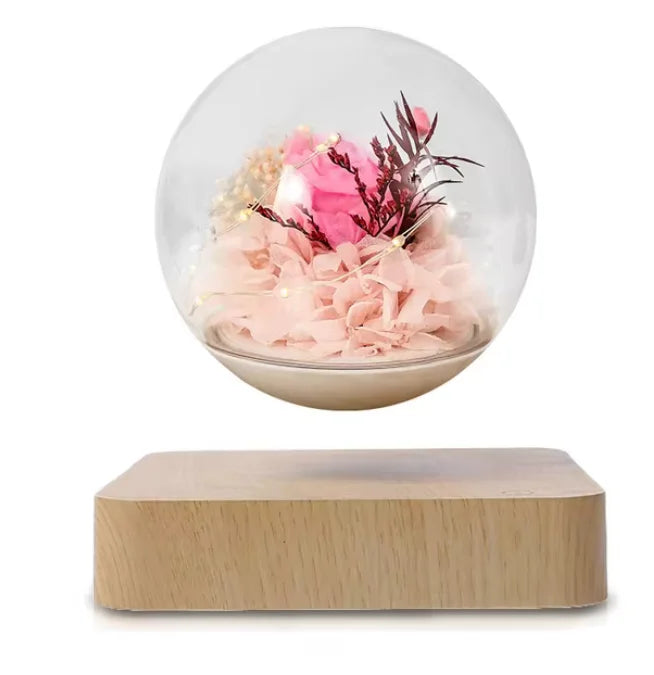 NxtDecor - Levitating Air Bonsai Pot Rotation Flower Magnetic Suspension Floating Pot Without Plants