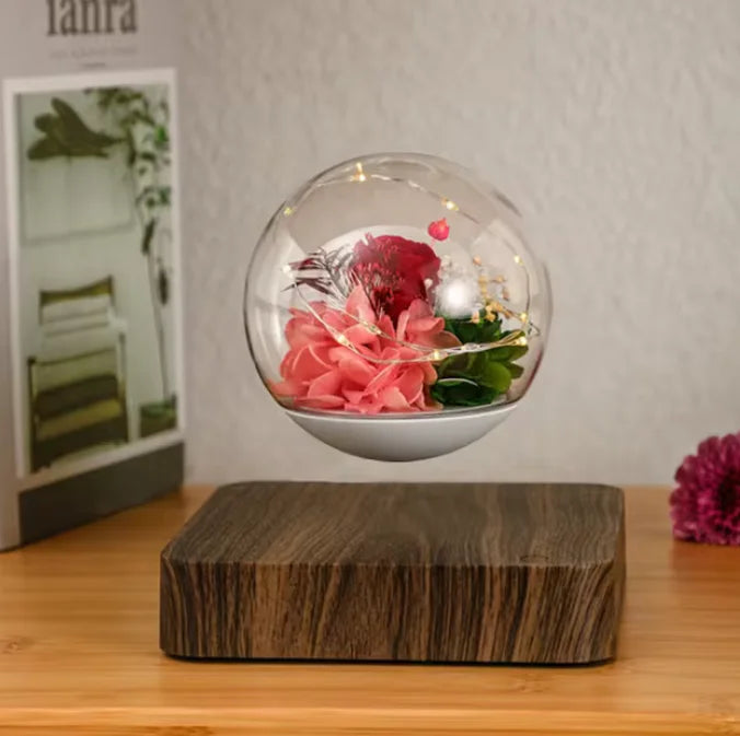 NxtDecor - Levitating Air Bonsai Pot Rotation Flower Magnetic Suspension Floating Pot Without Plants