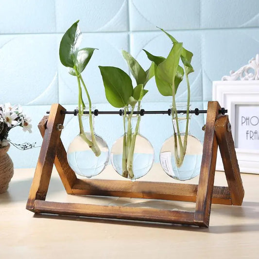 NxtDecor - Glass and Wood Vase Planter Table Desktop