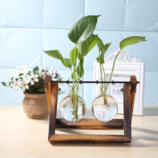 NxtDecor - Glass and Wood Vase Planter Table Desktop