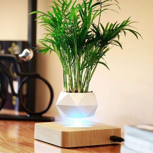NxtDecor - Levitating Air Bonsai Pot Rotation Flower Magnetic Suspension Floating Pot Without Plants
